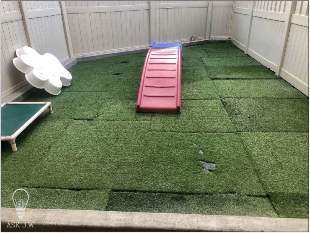 Pet Turf Installation in Frisco, TX